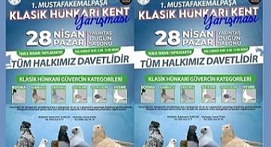 ALTI ANA KATEGORİDE 36 GÜVERCİN DERECEYE GİRDİ