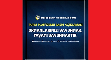 ORMANLARIMIZI SAVUNMAK, YAŞAMI SAVUNMAKTIR