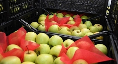 TİCARET BAKANLIĞI TEBLİĞLE DUYURDU 