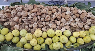 EİB YETKİLİLERİ FRUCOM İLE GÖRÜŞTÜ