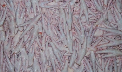 İHRACAT İZNİ ÇIKARSA 200 MİLYON DOLARLIK İHRACAT YAPILABİLECEK