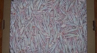 İHRACAT İZNİ ÇIKARSA 200 MİLYON DOLARLIK İHRACAT YAPILABİLECEK