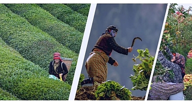 TMMOB ZİRAAT MÜHENDİSLERİ ODASI BASIN AÇIKLAMASI