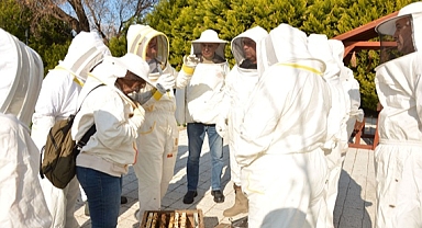 BAÇEM'DE UYGULAMALI ARICILIK KURSU BAŞVURULARI BAŞLADI