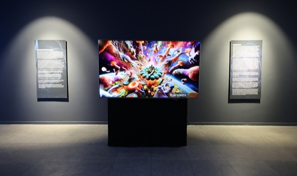 FİJİTAL KAPILAR SERGİSİ GALERİ CENNET'TE