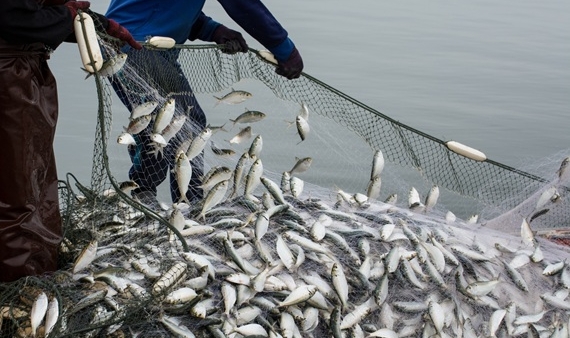 TÜRKİYE SU ÜRÜNLERİ VE HAYVANSAL MAMULLER İHRACATI 10 YILDA YÜZDE 123 ARTTI