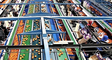 KONU İHRACATTAN DÖNEN GIDA ÜRÜNLERİ 