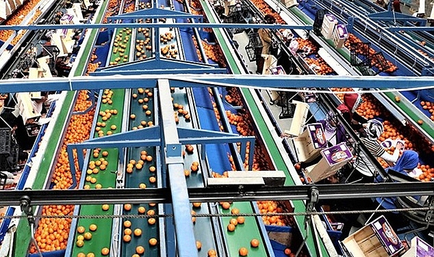 KONU İHRACATTAN DÖNEN GIDA ÜRÜNLERİ