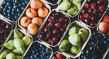 TARIM İHRACATINDA LİDER EGE BÖLGESİ 