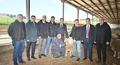 10 NUMARADAN 10 NUMARA REKOR FİYAT; 1 MİLYON 110 BİN TL