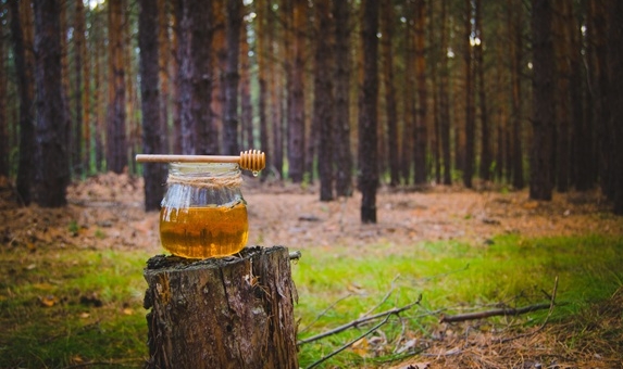 24 AYLIK AR-GE HAMLESİ BAŞLIYOR