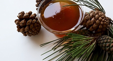 24 AYLIK AR-GE HAMLESİ BAŞLIYOR