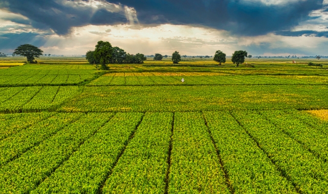 KARAR 1 OCAK 2026 TARİHİNDEN İTİBAREN GEÇERLİ OLACAK 