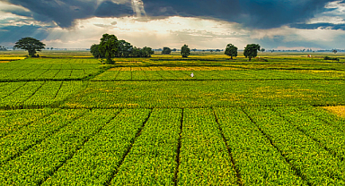 KARAR 1 OCAK 2026 TARİHİNDEN İTİBAREN GEÇERLİ OLACAK 