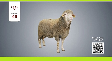 SATIŞLAR 25 MART 2026 ÇARŞAMBA GÜNÜ 