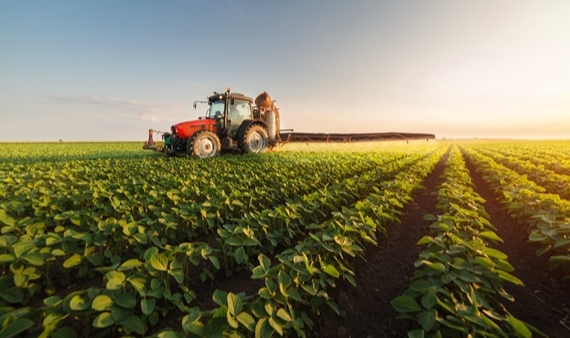 ÜÇ FARKLI PROJEYİ HAYATA GEÇİRDİLER 