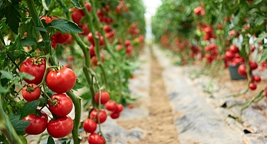 ÜÇ FARKLI PROJEYİ HAYATA GEÇİRDİLER 