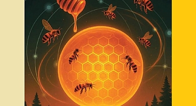 BAL DAHA MI BALLANACAK?