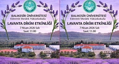 EDREMİT MYO'DA LAVANTA BAHÇESİ OLUŞTURULDU