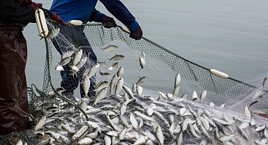 SU ÜRÜNLERİ SEKTÖRÜ İLK ÇEYREKTE İHRACATINI YÜZDE 24 ARTIRDI