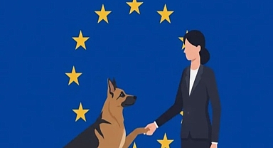 AB KONSEYİ KEDİ VE KÖPEK REFAHI KURALLARINI ONAYLADI 