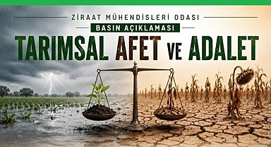 TARIMSAL AFET VE ADALET